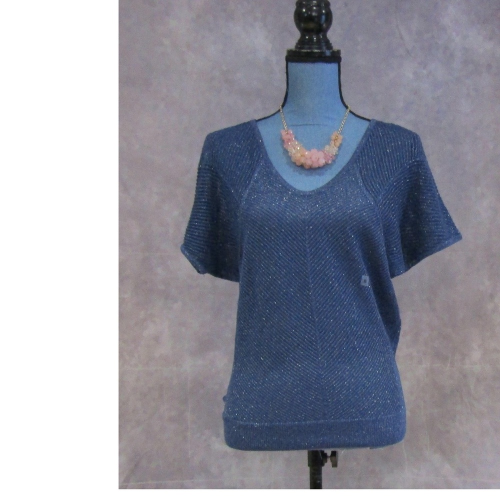 New Express Blue & Silver Rib Knit Summer Sweater